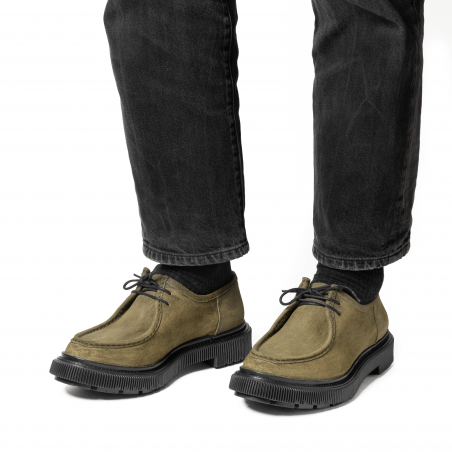 Type 212 - Daim kaki